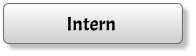 Intern